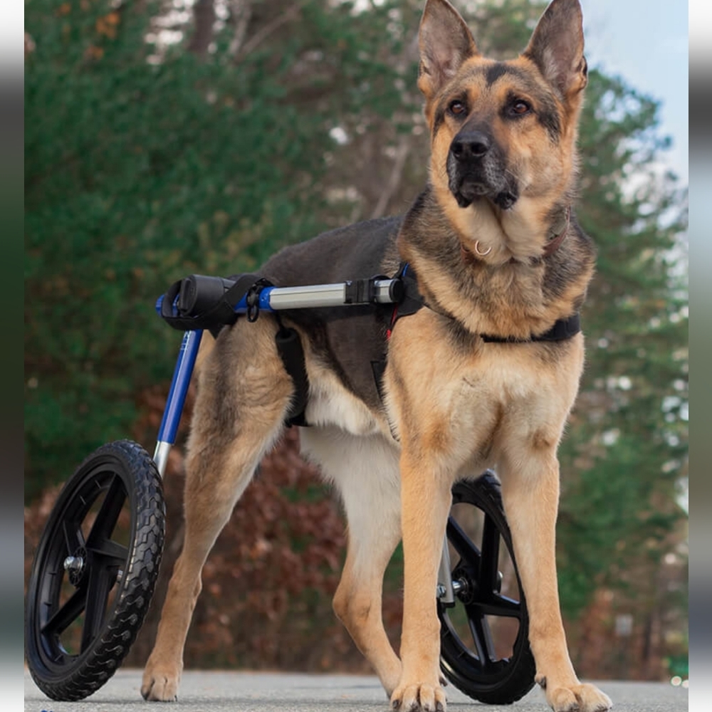 Dod wheelchair